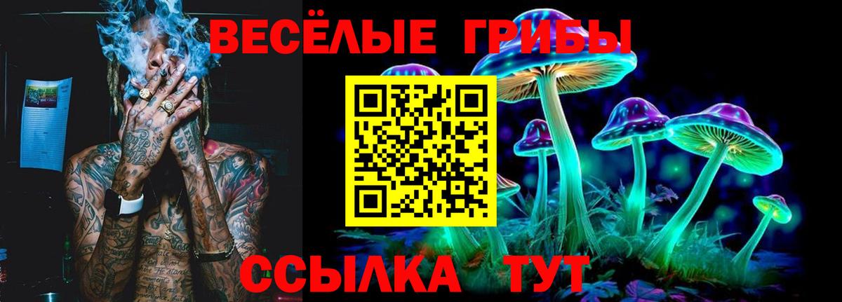 Псилоцибиновые грибы Cubensis  Псилоцибиновые грибы прущие грибы  Вход с VPN  купить   Аксай 